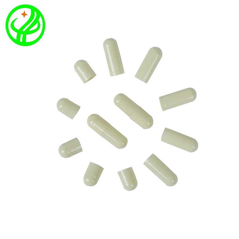 What is the oral dosage of gelatin hollow capsules?